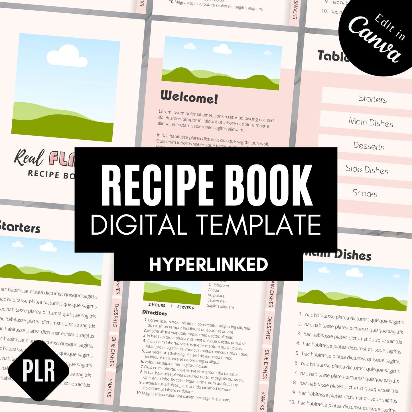 Digital Recipe Book PLR Template